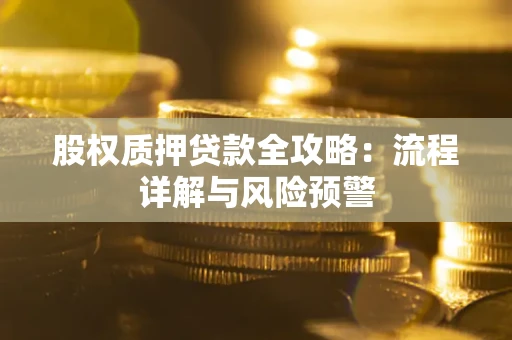 武汉股权质押贷款全攻略：流程详解与风险预警
