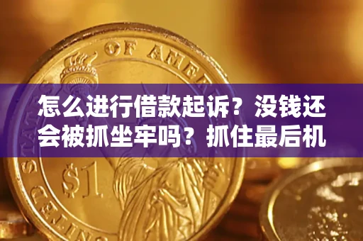 武汉怎么进行借款起诉？没钱还会被抓坐牢吗？抓住最后机会！