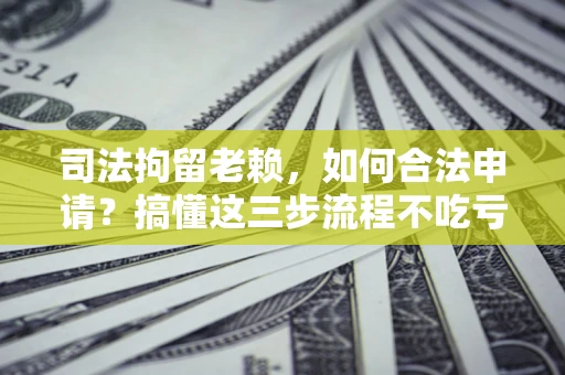 武汉司法拘留老赖，如何合法申请？搞懂这三步流程不吃亏！