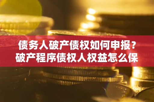 武汉债务人破产债权如何申报？破产程序债权人权益怎么保障？