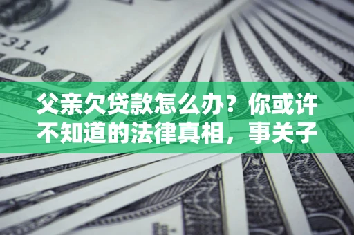 武汉父亲欠贷款怎么办？你或许不知道的法律真相，事关子女未来