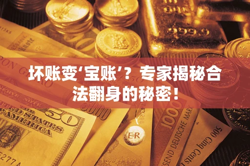 武汉坏账变‘宝账’？专家揭秘合法翻身的秘密！