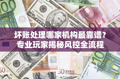 武汉坏账处理哪家机构最靠谱？专业玩家揭秘风控全流程