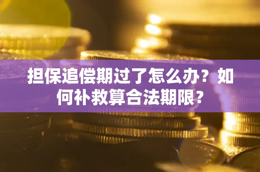 武汉担保追偿期过了怎么办？如何补救算合法期限？