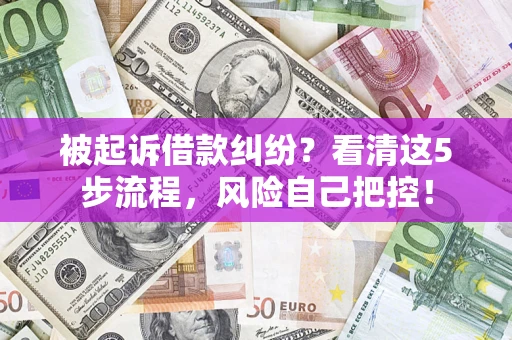武汉被起诉借款纠纷？看清这5步流程，风险自己把控！