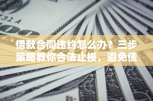 武汉借款合同违约怎么办？三步策略教你合法止损，避免债务危机升级
