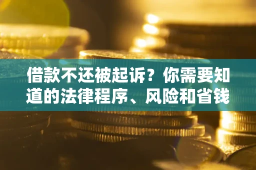 武汉借款不还被起诉？你需要知道的法律程序、风险和省钱技巧